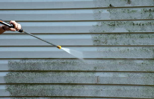 Best Residential Mold Removal  in Hudson, NC
