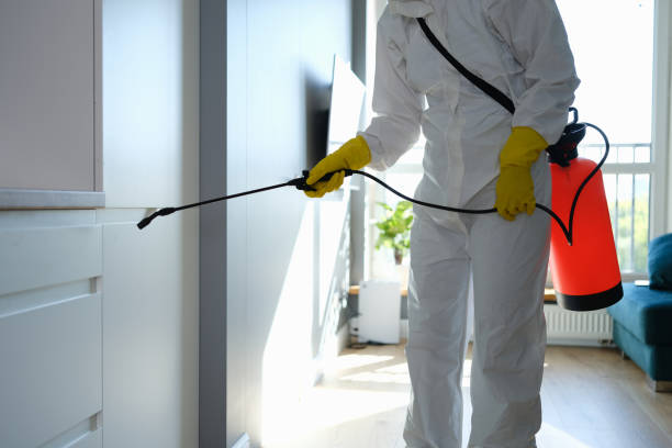 Best Mold Remediation  in Hudson, NC