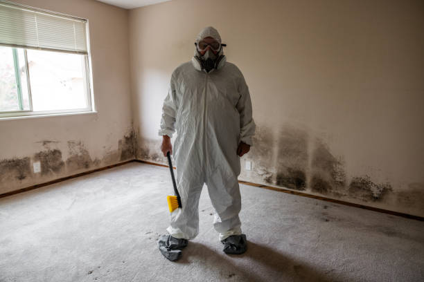 Best Mold Testing  in Hudson, NC